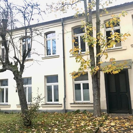Wohlfuehl-Oase Mitten In Der Stadt - Garten, Grill, Netflix Und Drucker 라이프치히 외부 사진